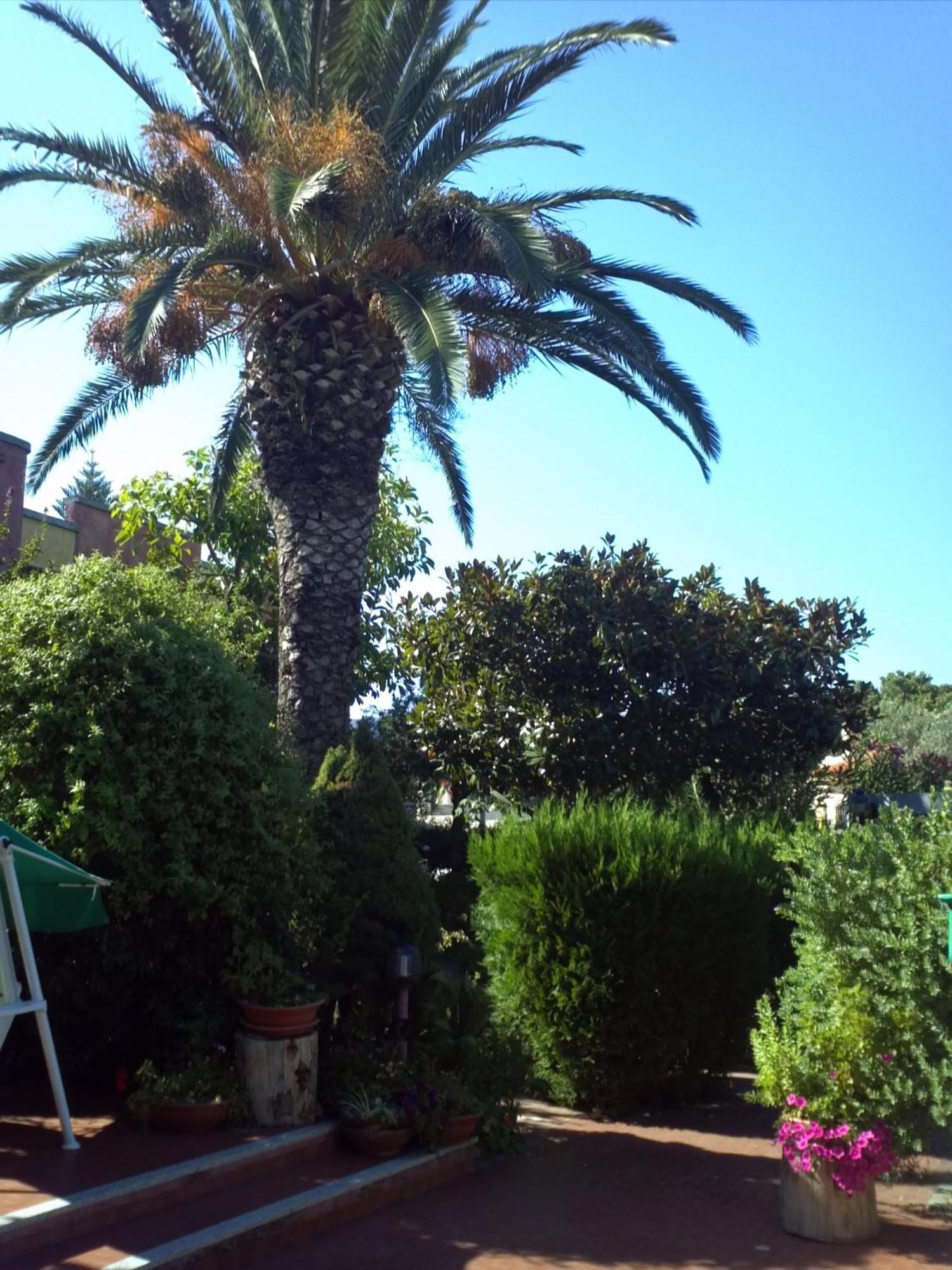 Hotel Abbaruja Olbia Bagian luar foto